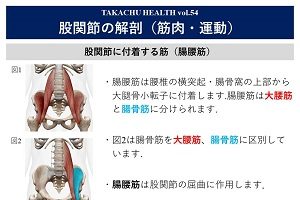 TAKACHU HEALTH Vol.54